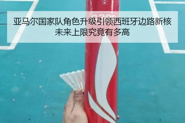 ya-ma-er-guo-jia-dui-jue-se-sheng-ji-yin-ling-xi-ban-ya-bian-lu-xin-he-wei-lai-shang-xian-jiu-jing-you-duo-gao-2-648.jpg